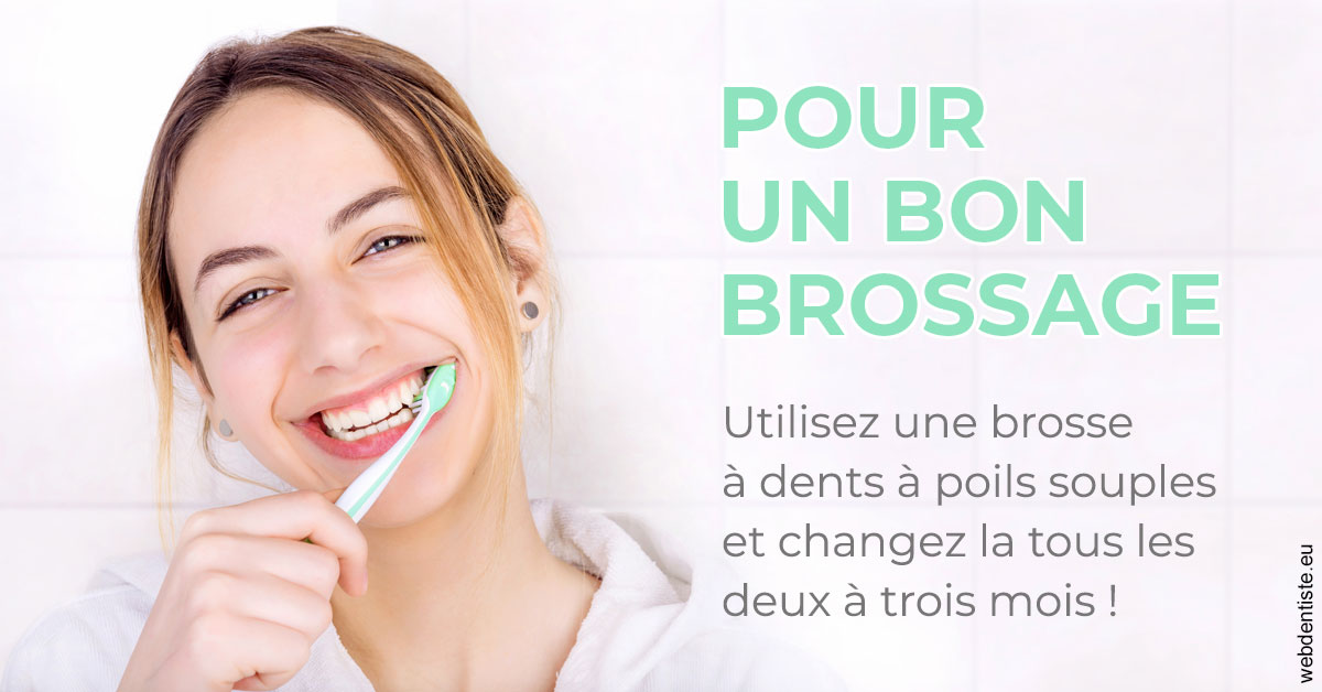https://dr-zerbib-dan.chirurgiens-dentistes.fr/Pour un bon brossage 2