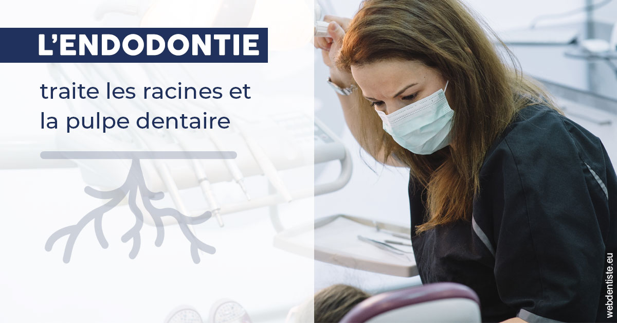 https://dr-zerbib-dan.chirurgiens-dentistes.fr/L'endodontie 1