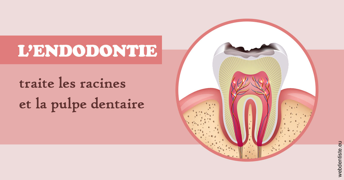 https://dr-zerbib-dan.chirurgiens-dentistes.fr/L'endodontie 2