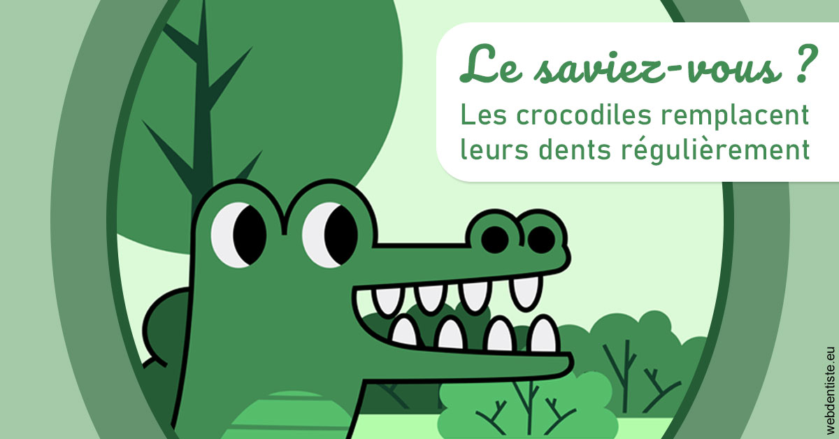 https://dr-zerbib-dan.chirurgiens-dentistes.fr/Crocodiles 2