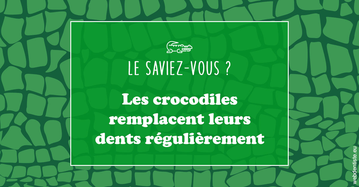 https://dr-zerbib-dan.chirurgiens-dentistes.fr/Crocodiles 1